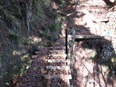 20161206hike (424)